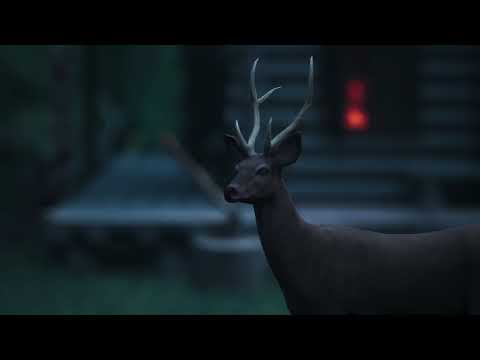 Dark Forest Cinematic 3D Animals Trailer | Unreal Engine | CGI Short Animation