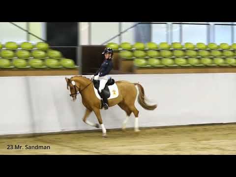 Präsentation 19.10.24 - KN 23 Mr. Sandman v. FS Mr.Right - Dornik B