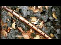 Flute Ringtone Flute Bgm Dil Nashin Flute Dil Nashin Flute Bgm Flute Ringtone For Mobile