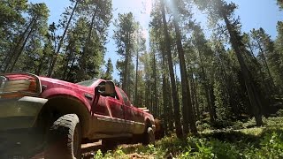 Madman Of The Mountain