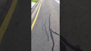 WHERE'S THE SEALANT? CamoSeal vs. Traditional Crack Filler