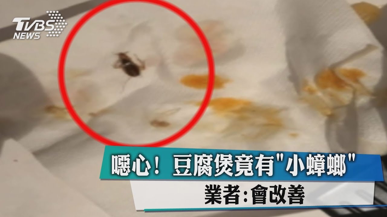 噁心！豆腐煲竟有「小蟑螂」　業者：會改善