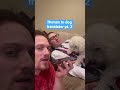 Human To Dog Translator