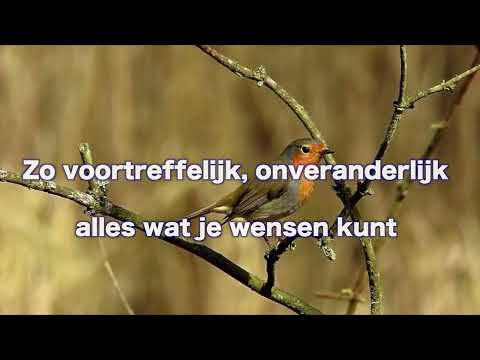 Opwekking 613 Geliefde Gezegende