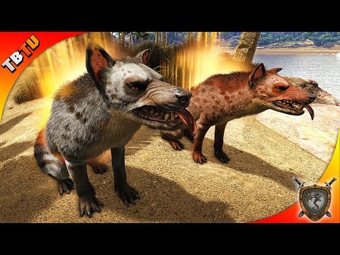 🚩 HYAENODON TAMING AND FARMING PROFESSION! Ark: Ragnarok Survival Plus E5  [Live Stream]