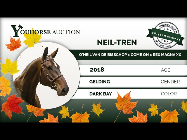 Neil Tren showvideo November 2