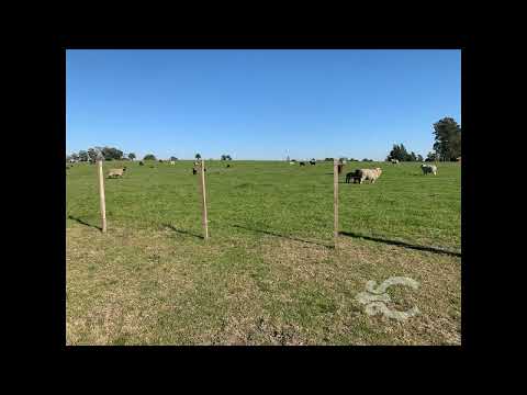 Video de YouTube - Campo en venta en Canelones 8148, ganadero, agrícola