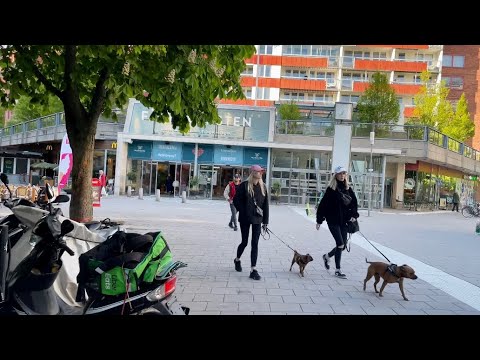 Stockholm Walks: Karlaplan area in the evening sun.