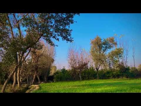 4k Bannu Nature with natural sound