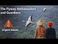 The Guardians of the Flyway: Migratory Birds and Indigenous Rights