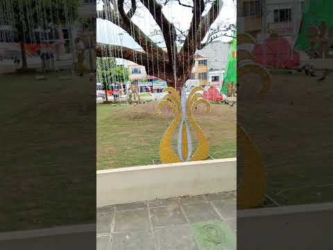 paseo por sanvicente de chucuri Santander