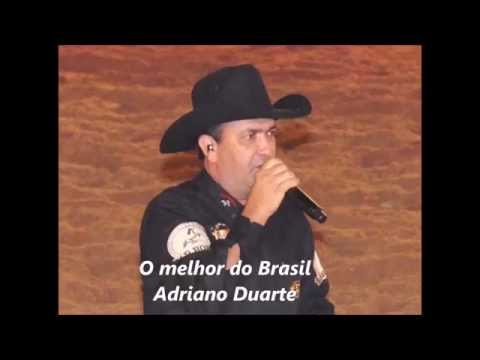 Rodeio de Colorado Pr/Br