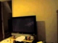MVI 4049 Sesame Street Episodes