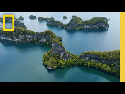 Raja Ampat: The Last Stronghold of Healthy Coral Reefs | National Geographic