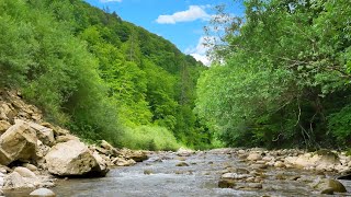 Flute and Nature Sounds - Native American Music for Sleep, Relaxation, Meditation and Stress Relief