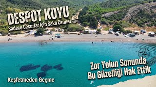 ​Despot Koyu’na Giden İki Yol: Hangisi Daha Kötü? (Saklı Cennet Vizesi