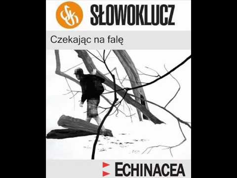 Echinacea feat. Numer Raz - Czekając na falę (prod. Roux Spana)