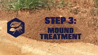 How To Get Rid Of Fire Ants Fast (Red Biting Ants) - 3 Quick and Easy Methods