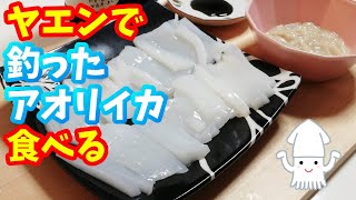 ヤエン釣りで釣ったアオリイカを素人がさばいて食べる