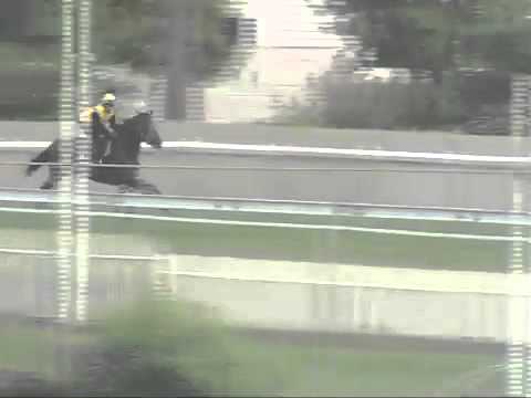 Barrier Trial 29th april 2014 at 7:00am - Terminator