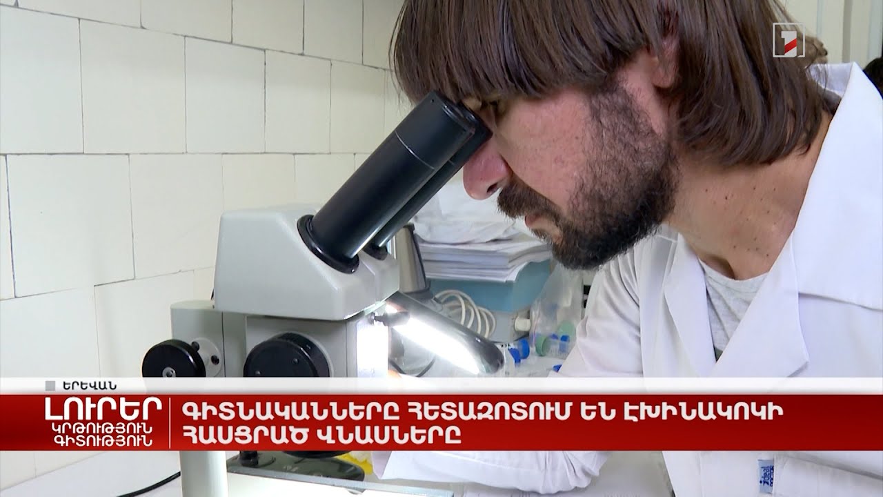 Գիտնականները հետազոտում են էխինակոկի հասցրած վնասները