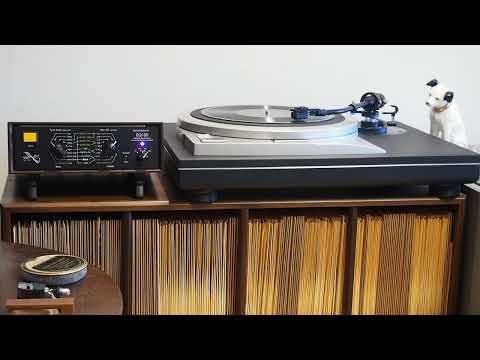 Them Ramblin' Blues / The Goofus Five