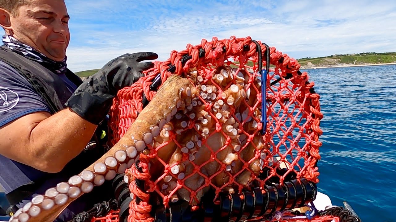 Hand Hauling The Fish Locker's NEW lobster pots - Crab, Lobsters and sea creatures | The Fish Locker
