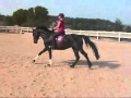La Belle Reiten Juni 10