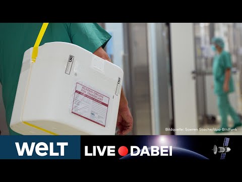 ORGANSPENDE: Für mehr Kinderleben – Wie kann die Spendenbereitschaft in Deutschland erhöht werden?