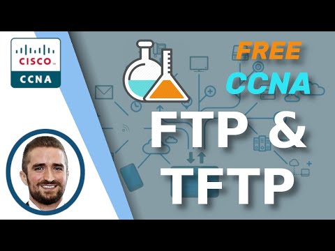 Free CCNA | FTP & TFTP | Day 43 Lab | CCNA 200-301 Complete Course