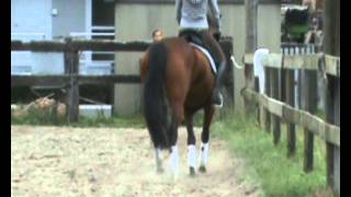 Video von Dancing Happiness