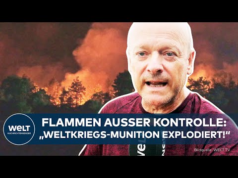 EXPLOSIVES INFERNO: Waldbrand in Ostdeutschland außer Kontrolle – „Granaten explodieren“