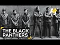 5 Things To Know About The Black Panthers
