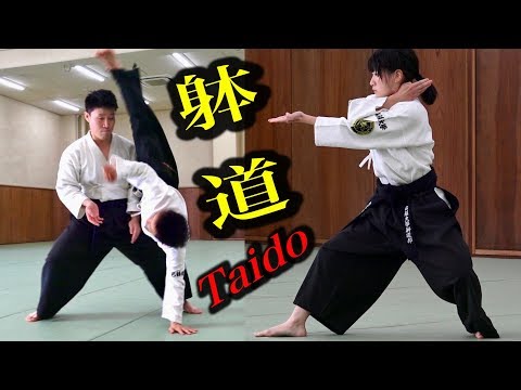 思わず躰道をやってみたくなる映像【4】 Try! Taido!