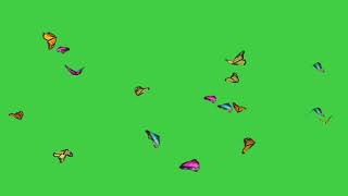 Butterfly flying green screen video effect templat