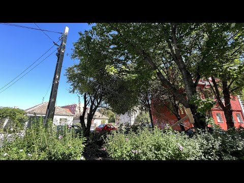 PANČEVO dobilo prvi gradski ZIP line na svetu