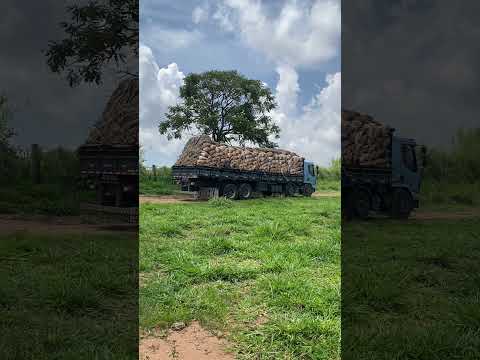 Mais um dia que começa em São José do Rio Pardo.