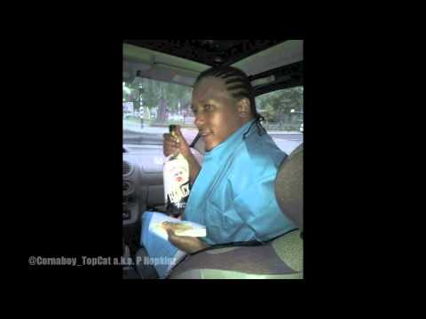 TopCat ft Brick Jamez - Pigeons on the Roof