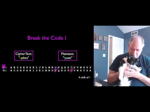 Cat Invades Coursera Lecture - Internet History, Technology, and Security