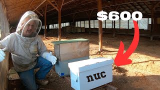 I make $600 from one Honey Bee hive