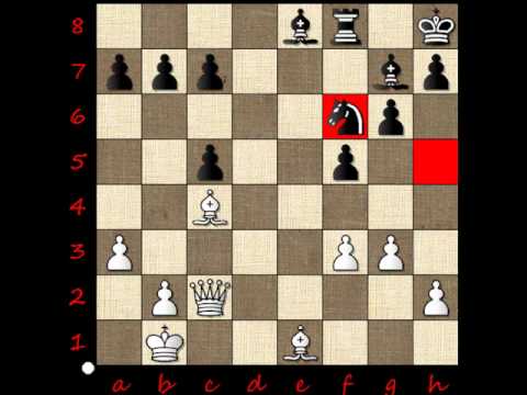 4.1. IM Peter Vavrák - GM Evgeny Gleizerov, 2.časť