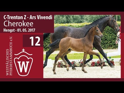 12 Cherokee Hengst v. C-Trenton - Ars Vivendi