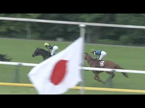 2023.05.28 Meguro Kinen (JPN) - Heat on Beat