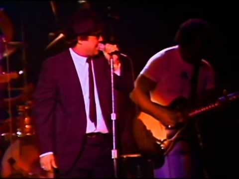 Blues Brothers Live (I got everything I need) Almost
