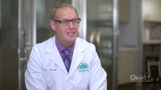 OraVet Video