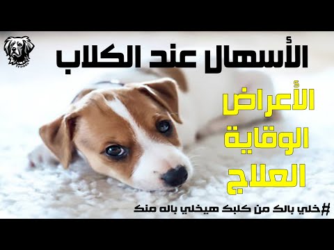 , title : 'الاسهال عند الكلاب علاج الاسهال عند الكلاب الوقاية من الاسهال عند الكلاب سامر غازي'