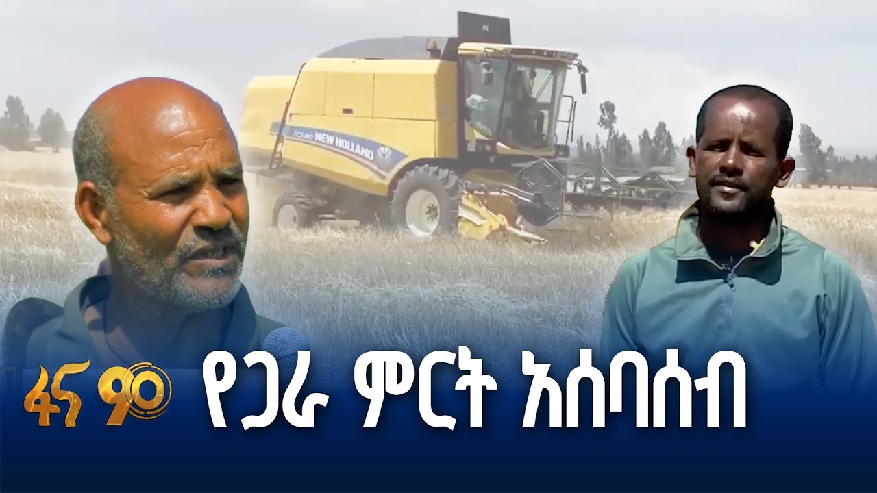 ምርት መሰብሰቢያ ወቅት