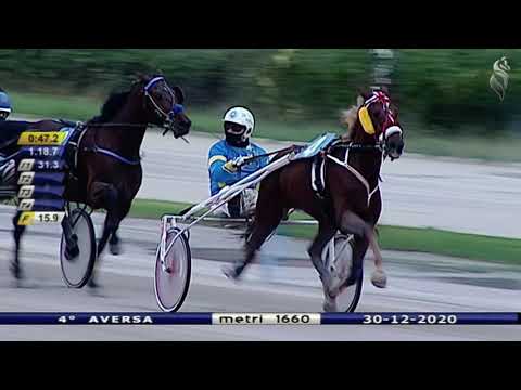 Aversa trotto 30 Dicembre 2020 - 4° Corsa