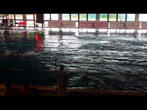 AICS Pavia Nuoto Master - Legnano 2015 - 4x50 sl m100/m120 Mistaffetta