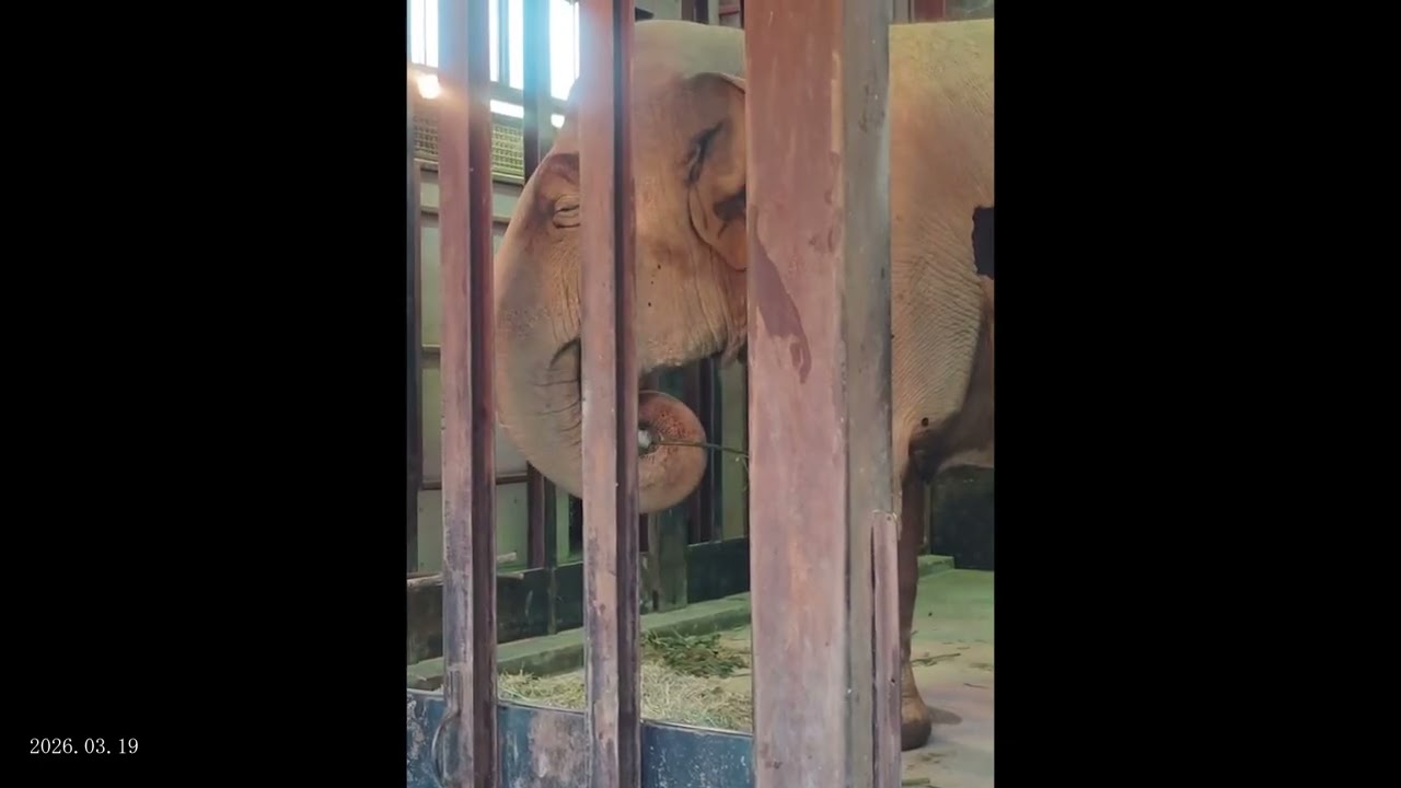 2026.03.19 17:00 ズゼ 閉園（※Tさん撮影）